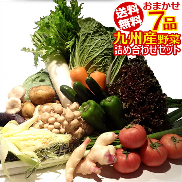 おまかせ詰め合わせ九州野菜セット　7品セット