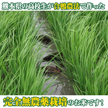 【無農薬米】白米・玄米【合鴨農法】【合鴨米】【地下水使用】【熊本県産】【ひのひかり】北海道、東北は別途追加送料