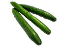 九州産 きゅうり3本