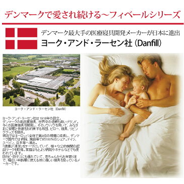 枕 フィベールピロー 2個セット Danfill(ダンフィル)ふわふわの感触 フィベール枕 通気性の良いふわふわ枕 【送料無料】【ギフトラッピング無料】【まくら ピロー pillow 洗える枕 ウォッシャブル 清潔 Fibelle枕 APEX アペックス】【N】【あす楽対応】
