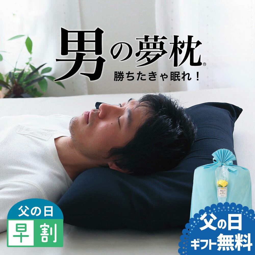 安眠枕（売れ筋ランキング） ＼父の日 早割 クーポン 配布中／【楽天1位】 枕 男の夢枕 (枕カバー 付き） 有名寝具ブランド王様シリーズから消臭機能が付いた 男性向け 枕 【枕 男 男性 旦那 夫 王様の夢枕 彼氏 父 お父さん 低め 低い ビーズ 洗える 加齢臭 汗 臭い まくら プレゼント ギフト】【N】