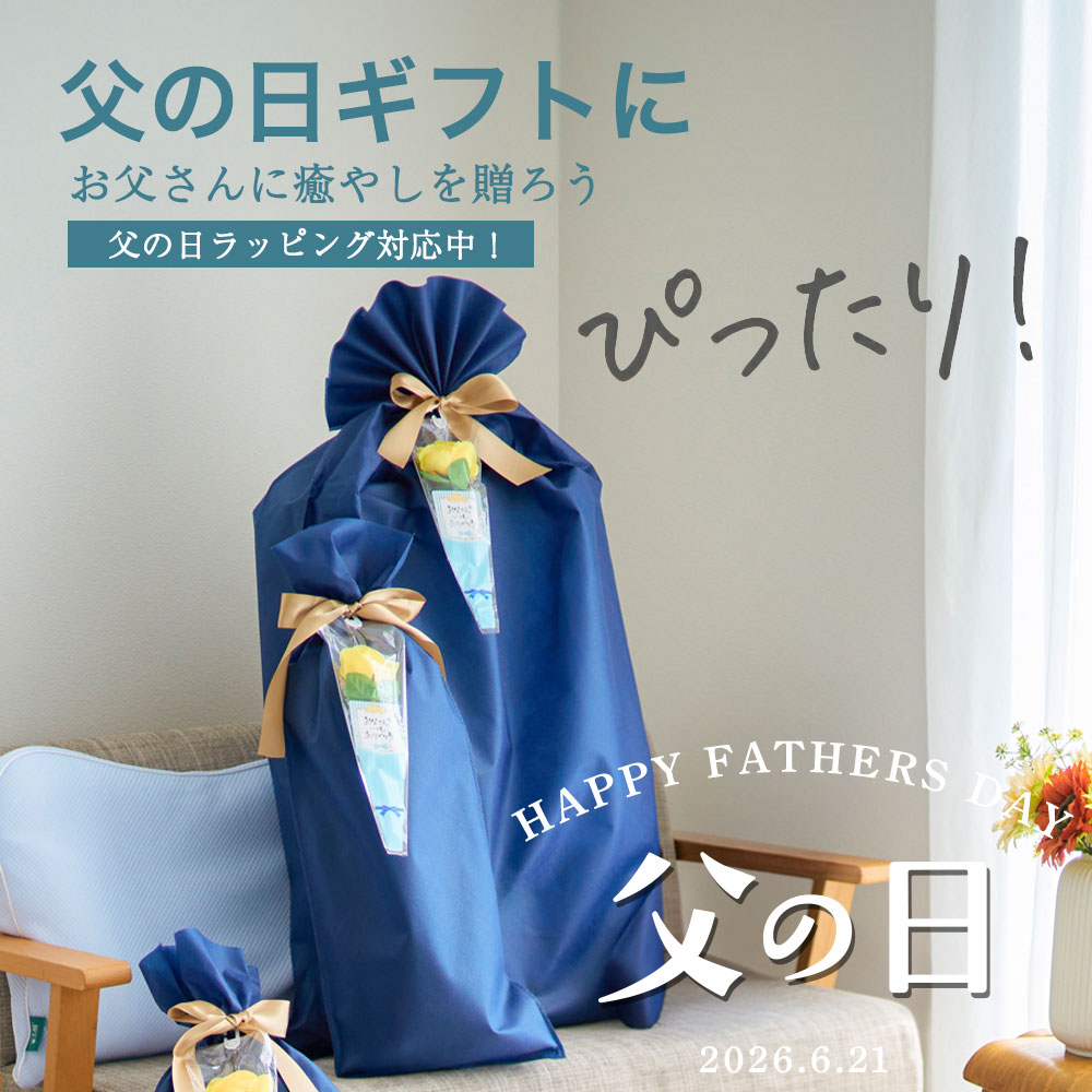 【15時まで本日出荷】父の日 遅れてごめんね ボディドクター バックアップ （長時間のデスクワークやドライブなどにおすすめ！身体を労わる健康グッズ） 背当てクッション 背もたれ 腰枕 高反発 ドライブクッション 腰当 椅子用 車 デスクワーク ギフト プレゼント 旅行