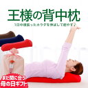 【楽天1位】 まだ間に合う 母の日 