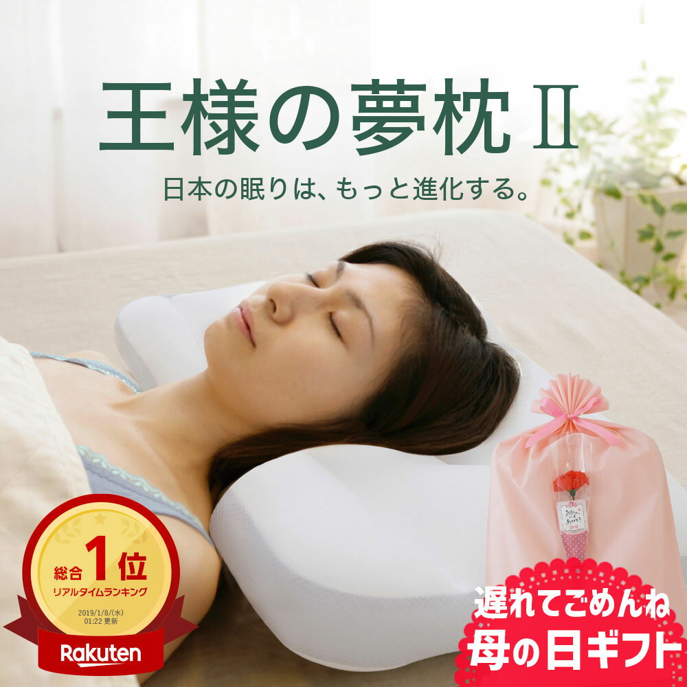 【エントリー＆楽天カードでP13倍】【横向き寝用枕】France BeD フランスベッド 安眠の横向き寝 枕「スリープバンテージ ピロー プレミアム」 Sleep Vantage PREMIUM 抱きまくら 抱き枕 対策 まくら 肩こり プレゼント ギフト いびき 母の日 ポイント10倍