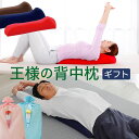 コリとる磁気 腰まくら - 就寝時 腰 ラク 腰枕 腰痛 安眠 リラックス 血行 コリ 腰浮き 対策 改善 枕 まくら 磁気 磁石