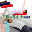 楽天枕と眠りのおやすみショップ！まだ間に合う 王様の背中枕 ペアギフト セット 王様の背中枕 2個セット 【背中枕 腰枕 クッション 反り腰 平背 巻き肩 猫背 肩 肩甲骨 姿勢 矯正 伸ばす 王様シリーズ 室内 健康 寝ながら ストレッチ ストレッチ用 エクササイズ ポール】【母の日 父の日 プレゼント ギフト】