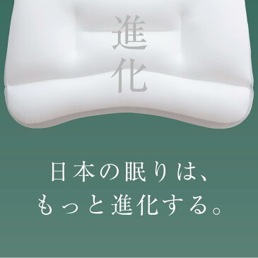 【2020年1月8日 低めタイプ登場！】新・王様の夢枕（枕カバー付き） 100万人が安眠、あの王様の夢枕がさらに眠りやすく進化し15年ぶりのリニューアル 【あす楽対応】【送料無料】【枕 まくら 王様 夢枕 ビーズ いびき 安眠枕】【N】