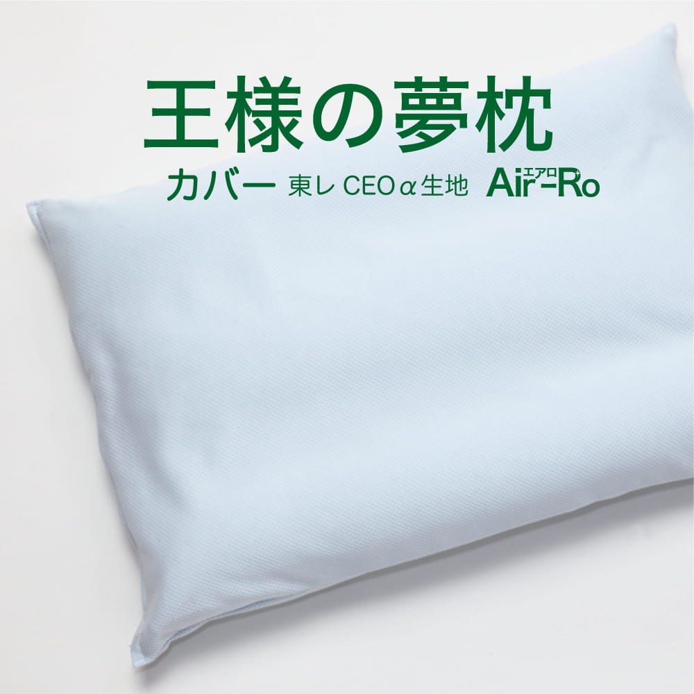 枕カバー 王様の夢枕エアロ用 ブルー 【専用枕カバー 王様 まくらカバー ピロケース ピローケース pillow case covers 楽天 通販】【メール便対応】【名入れ対応可（ 1000円）】