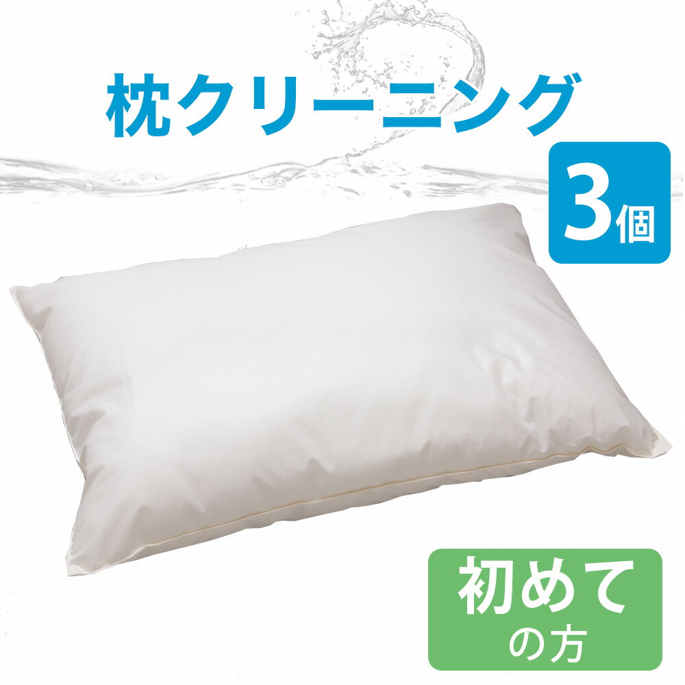 布団クリーニング まくらクリーニング 3点 はじめてのお客さま用 フレスコeパック 【フレスコ クリーニング 丸洗い 水洗い 清潔 きれい 宅配 枕 まくら 初めて はじめて 初回 3点 3個】