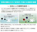 臭いの少ない羽毛布団 ダブルロング 約 190×210cm 消臭・抗菌加工羽毛を使用した軽くて暖かい羽毛布団 【エクセルゴールド】 (ホワイトダックダウン90％) (日羽協ラベル付) 【羽毛 布団 ふとん 羽毛ぶとん 高級 日本製 冬 暖かい 防臭】 3