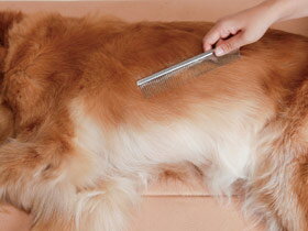 �������ξ�ܥ�����