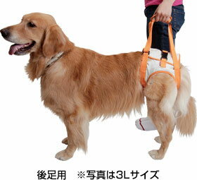 PETIO 歩行補助ハーネス＜大型犬用＞3Lサイズ【あす楽対応】