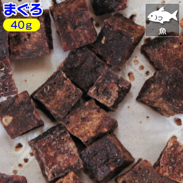 袋裝食品 - まぐろキューブ【犬用おやつ】＜あす楽対応＞
