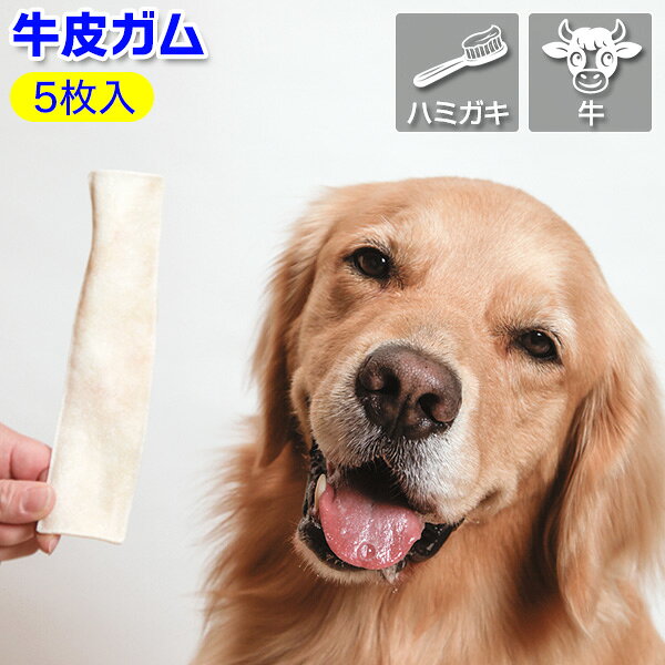 Rakuten - 国産牛皮ガム【チップスL・5枚入】（犬用おやつ）＜あす楽対応＞
