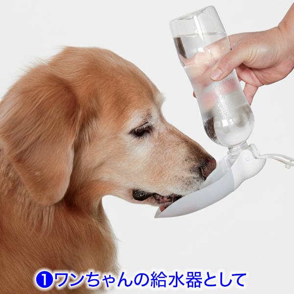 2way���� �ΰ��߿���ޥʡ������ϡڸ��Τ����⥰�å���