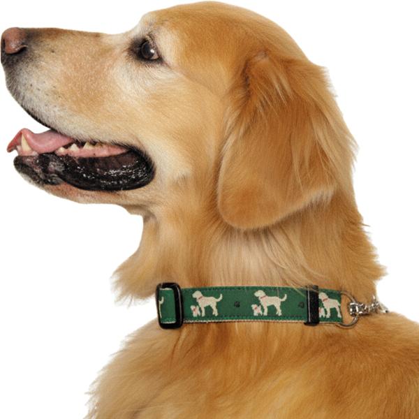 BLC ハーフチョーク首輪【大型犬向け】