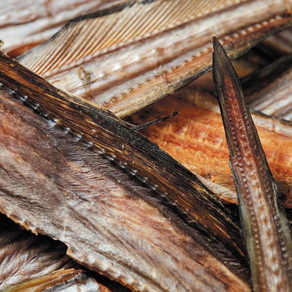 ハモしっぽ【犬用・お魚おやつ】