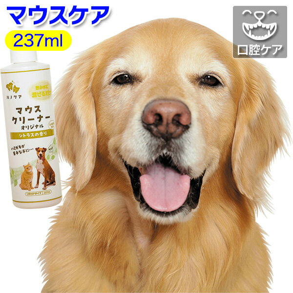 Rakuten - ハノケア マウスクリーナー【犬用歯みがきグッズ】＜あす楽対応＞