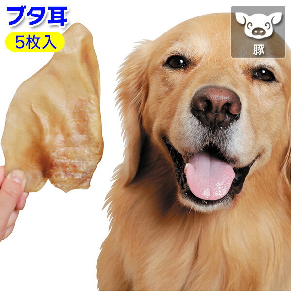 Rakuten - 北海道ブタ耳 ＜犬のおやつ＞【あす楽対応】