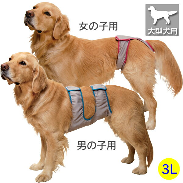 Rakuten - マナーホルダー アクティブ 3Lサイズ［男の子用/女の子用］【大型犬向け】