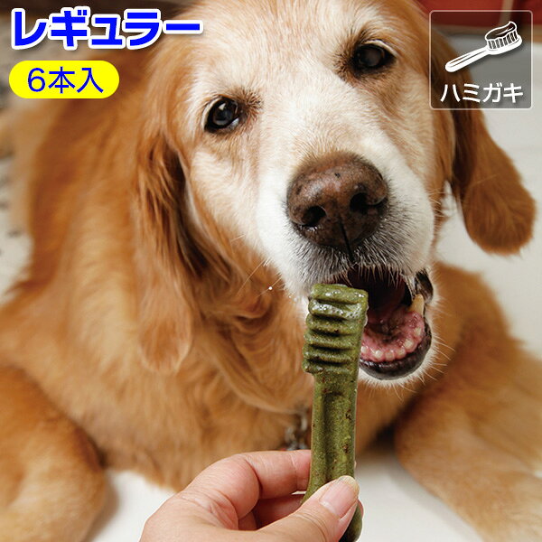 Flake Shape - グリニーズ プラス（正規品） ＜犬のおやつ＞：レギュラー 6本入【あす楽対応】