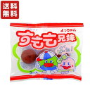 【送料無料】 すもも兄弟 10g×100袋 よっちゃんいか