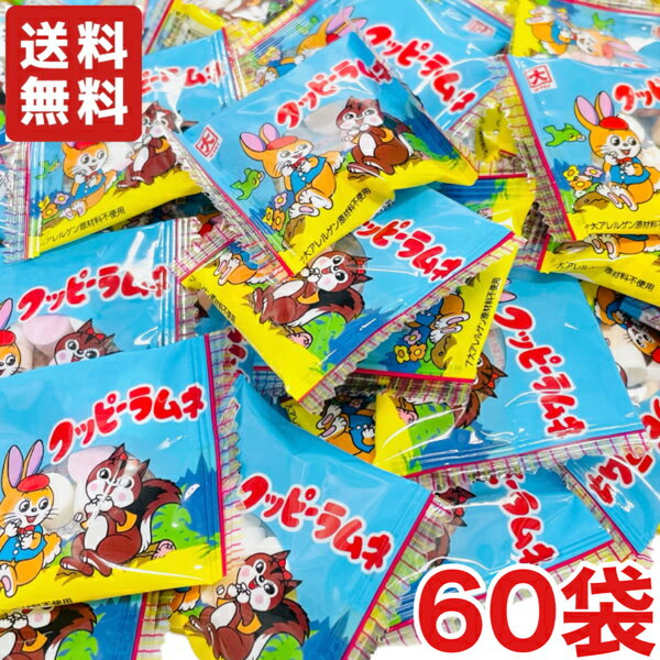 【1000円ポッキリ送料無料】カクダイ製菓 クッピーラムネ 業務用 大量 4g×60袋 駄菓子 ラムネ菓子【メール便】