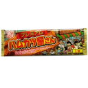 スグル食品 ハムカツ屋さんプレミアム 10枚入り×1袋