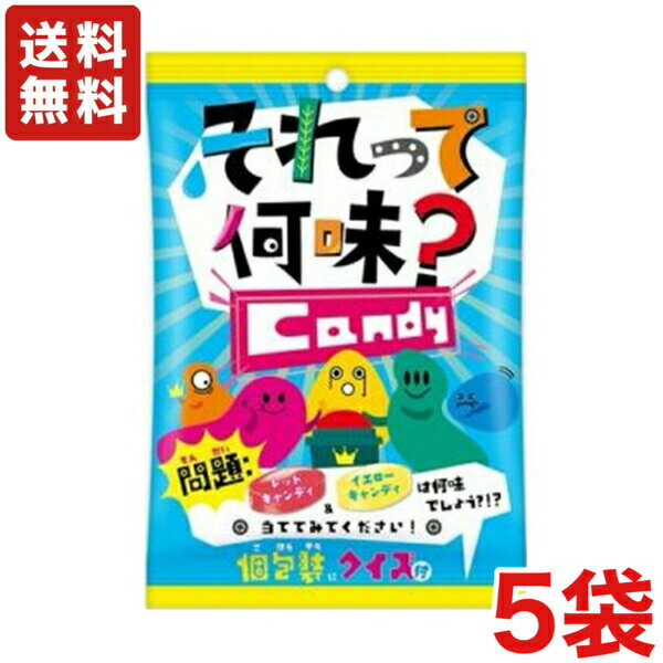 送料無料 扇雀飴本舗 それって何味キャンディ 50g×5袋 メール便(4)