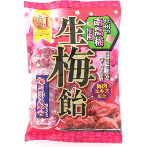 【送料無料】生梅飴 110g×10袋 リボン【業務用 飴】