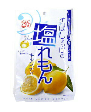 松屋製菓 塩れもんキャンディー 100g×1袋