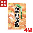 【送料無料】川口製菓 和歌山みかん飴 100g×4袋 和歌山有田の伊藤農園みかん果汁使用 みかんピール入り【あめ】【メール便】