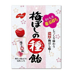 梅ぼしの種飴　30g×6袋　袋【ノーベル製菓】じっくり味わう濃厚梅ぼし味 梅干　熱中症対策にも