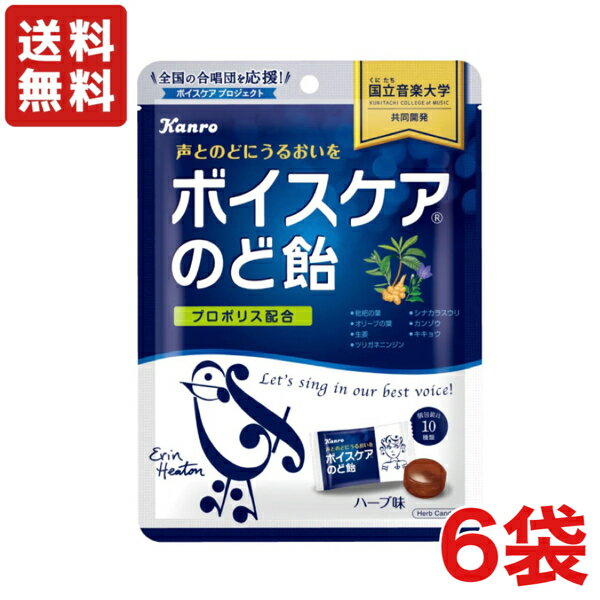 【送料無料】カンロ ボイスケアのど飴 70g ×6袋 プロポリス配合 あめ【メール便】