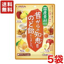 国産素材使用。 きんかんシロップ漬け味 すりおろしりんご味 はちみつかりん味 くず生姜味 陳皮みかん＆ゆず味の5種アソート。 個包装に食べ物に関する知恵コメント付き。 弱メントールです。 ※商品の規格変更などにより、パッケージや製品記載の内容等、異なる場合がございます。 ※メーカーの都合上、商品リニューアルとなりました際は、リニューアル後の商品をお送りしますこと、何卒ご了承下さい。 内容量 92g 保存方法 直射日光のあたる所、高温多湿を避け、保存してください。 備考 ・メーカー休売・終売・弊社取り扱い中止の際は、ご容赦ください。 ・大量注文の場合は発送までにお時間を頂く場合があります。業務用やイベント等に必要な場合はお問い合わせください。 ・数量がご希望に添えない場合がございますのでその際は当店からご連絡させていただきます。 ・実店舗と並行して販売しております。在庫の更新が間に合わず、ご注文数量がご希望に添えない場合がございますのでその際はご容赦ください。■メーカー終売・規格変更・パッケージ変更等について ご注文済みの商品がメーカの都合上、終売、名称変更・内容量変更等々になっている場合があります。 また、大変申し訳ございませんが弊社の規格変更などの修正漏れ（遅れ）、メーカー案内漏れ（遅れ）などの場合がございますので予めご了承ください。 商品内容量減量でJANコードを変更しない商品なども多々ございます。 誠に申し訳ありませんが、ご了承の上、お買い求めください。 商品説明変更・規格変更等々、出来る限り更新しておりますので、変更漏れなどの場合は何卒ご容赦ください。 ※画像はあくまでも参考画像です。 ■食品商品の賞味期限について メーカー表記の賞味期限に近い商品を発送するように心がけております。 店内の在庫商品を発送する場合に関しても1ヶ月以上期限が残っている商品を発送しております。 特価商品につきましては、期限の残日数が少ない場合がございます。 ※半生系のお菓子 商品の特性上、元々賞味期限の短い商品がほとんどです。 発送する商品に関しましても他の商品より賞味期限が短くなりますのでご了承ください。 ■取り扱い商品・欠品等について ・メーカー休売・終売・弊社取り扱い中止の際は、ご容赦ください。 ・入荷待ち（欠品）商品・大量注文の場合は発送までにお時間を頂く場合があります。また、業務用やイベント等に必要な場合はお問い合わせください。 ・実店舗と並行して販売しております。在庫の更新が間に合わず、ご注文数量がご希望に添えない場合がございますのでその際はご容赦ください。 ※商品毎に注意事項が異なります。ご購入の際は備考欄とページ下部説明をご覧になった上でのご購入をお願いいたします。 ※詳細は自動返信メールの後、当社より再度2度目の確認メールにてお知らせいたします。自動返信メールが届かない場合はメールアドレスの記載間違え等の可能性がございますので、再度ご確認下さい。