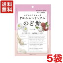 【送料無料】パイン ドモホルンリンクル のど飴　80g×5袋 あめ ライチ味【メール便】