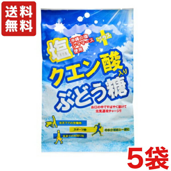 【送料無料】大丸本舗 20粒塩クエン酸入りぶどう糖 ×5袋【メール便】