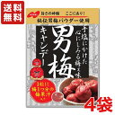 【送料無料】ノーベル製菓 男梅キャンデー ×4袋【メール便】 【飴】熱中症対策にも！