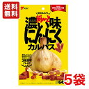 送料無料 ヤガイ ぎゅ〜っと濃い味にんにくカルパス 64g×5袋 メール便