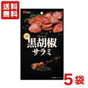 豚肉と牛肉を粗挽き仕上げにすることで肉本来の旨味を引き出しております。 斜めに大きくスライスすることで、なめらかな口当たりとソフトな食感、食べた時のボリューム感がお楽しみいただけます。 黒胡椒を表面にまぶすことで、爽やかな香りと辛さが味わえる商品です。 ※商品の規格変更などにより、パッケージや製品記載の内容等、異なる場合がございます。 ※メーカーの都合上、商品リニューアルとなりました際は、リニューアル後の商品をお送りしますこと、何卒ご了承下さい。 内容量 1袋 45g 備考 ・画像は参考となります。また、モニター環境により、実際の商品の色合いと多少異なってみえる場合があります。ご了承ください。 ・メーカー休売・終売・弊社取り扱い中止の際は、ご容赦ください。 ・大量注文の場合は発送までにお時間を頂く場合があります。業務用やイベント等に必要な場合はお問い合わせください。 ・数量がご希望に添えない場合がございますのでその際は当店からご連絡させていただきます。 ・実店舗と並行して販売しております。在庫の更新が間に合わず、ご注文数量がご希望に添えない場合がございますのでその際はご容赦ください。■メーカー終売・規格変更・パッケージ変更等について ご注文済みの商品がメーカの都合上、終売、名称変更・内容量変更等々になっている場合があります。 また、大変申し訳ございませんが弊社の規格変更などの修正漏れ（遅れ）、メーカー案内漏れ（遅れ）などの場合がございますので予めご了承ください。 商品内容量減量でJANコードを変更しない商品なども多々ございます。 誠に申し訳ありませんが、ご了承の上、お買い求めください。 商品説明変更・規格変更等々、出来る限り更新しておりますので、変更漏れなどの場合は何卒ご容赦ください。 ※画像はあくまでも参考画像です。 ■食品商品の賞味期限について メーカー表記の賞味期限に近い商品を発送するように心がけております。 店内の在庫商品を発送する場合に関しても1ヶ月以上期限が残っている商品を発送しております。 特価商品につきましては、期限の残日数が少ない場合がございます。 ※半生系のお菓子 商品の特性上、元々賞味期限の短い商品がほとんどです。 発送する商品に関しましても他の商品より賞味期限が短くなりますのでご了承ください。 ■取り扱い商品・欠品等について ・メーカー休売・終売・弊社取り扱い中止の際は、ご容赦ください。 ・入荷待ち（欠品）商品・大量注文の場合は発送までにお時間を頂く場合があります。また、業務用やイベント等に必要な場合はお問い合わせください。 ・実店舗と並行して販売しております。在庫の更新が間に合わず、ご注文数量がご希望に添えない場合がございますのでその際はご容赦ください。 ※商品毎に注意事項が異なります。ご購入の際は備考欄とページ下部説明をご覧になった上でのご購入をお願いいたします。 ※詳細は自動返信メールの後、当社より再度2度目の確認メールにてお知らせいたします。自動返信メールが届かない場合はメールアドレスの記載間違え等の可能性がございますので、再度ご確認下さい。