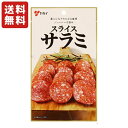 送料無料 ヤガイ スライスサラミ 45g×1袋 メール便