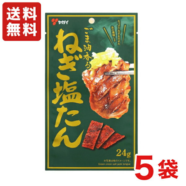 送料無料 ヤガイ ねぎ塩たん 24g×5袋 メール便