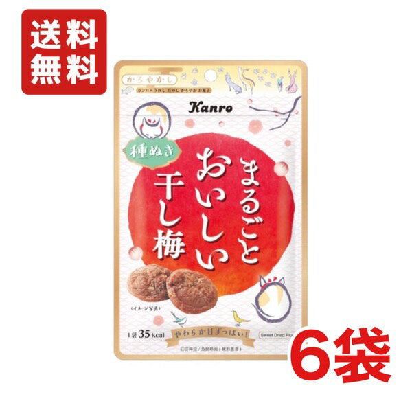 【送料無料】カンロ まるごとおいしい干し梅 19g ×6袋 熱中症対策 種なし 干し梅【メール便】