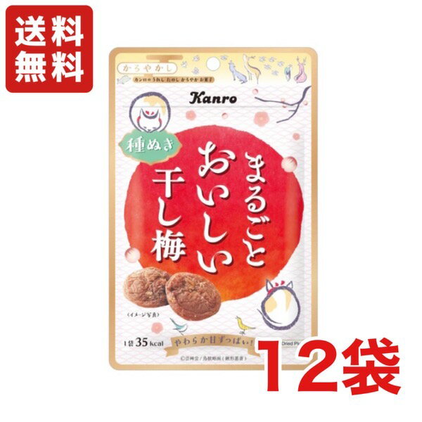 【送料無料】カンロ まるごとおいしい干し梅 19g ×12袋 熱中症対策 種なし 干し梅【メール便】