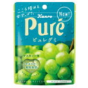 ピュレグミ　マスカット　56g【カンロ】6袋入1BOX