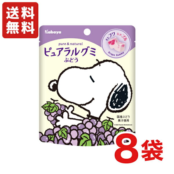 【送料無料】 ピュアラルグミ ぶどう 58g×8袋 カバヤ グミ スヌーピー コラボパッケージ グレープグミ 【メール便】【数量限定】のサムネイル