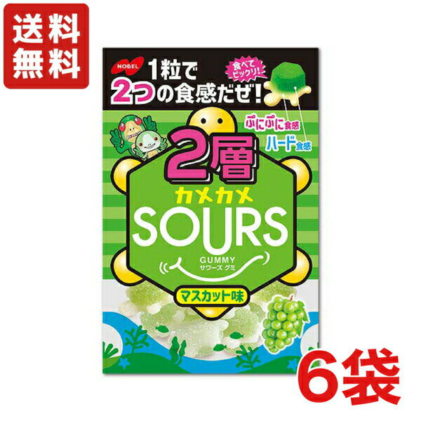 【送料無料】ノーベル製菓 2層カメカメSOURS（サワーズ）マスカット×6袋 【グミ】【メール便】のサムネイル