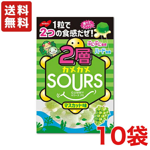 【送料無料】ノーベル製菓 2層カメカメSOURS（サワーズ）マスカット×10袋 【グミ】【メール便】