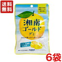 送料無料 カネカ食品 湘南ゴールドグミ ×6袋 メール便