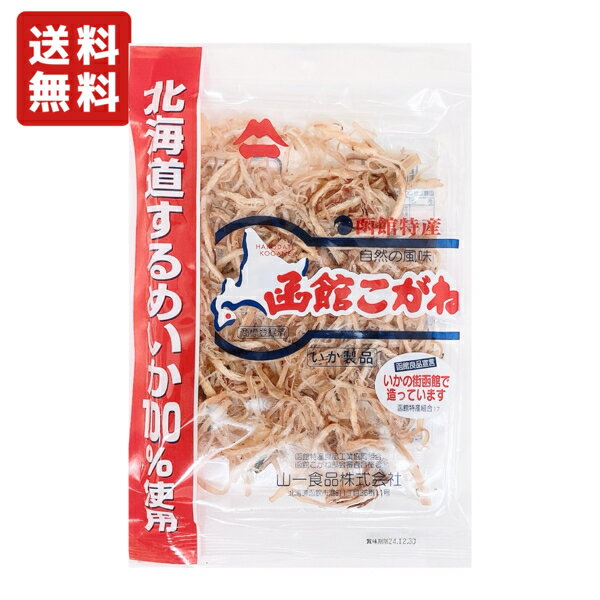 送料無料 函館こがね 80g×1袋 北海道産スルメイカ 山一食品 メール便